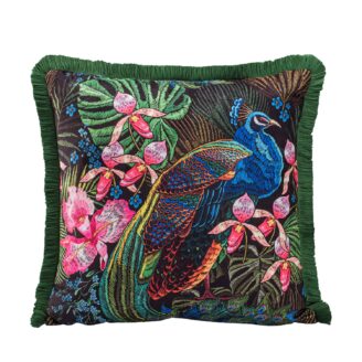 Peacock 1