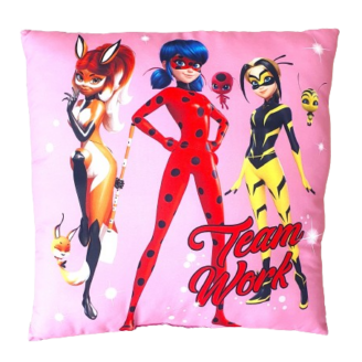 Miraculous_40x40_cm_Tean_Work_5588425003521-removebg-preview